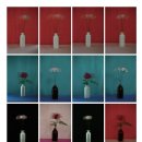 헤테로토피아 이미지