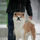 고양고등학교 이미지