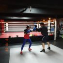 비젼파이트클럽 이미지