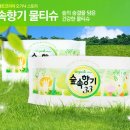 숲속향기 이미지