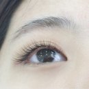 블랙스완 래쉬 네이버블로그