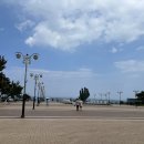 대형조형물 | [포항 여행] 포항 호미곶 해맞이광장 후기, 해안 산책 + 대형 손조형물 포토존 가이드