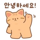 실버손모아 이미지