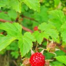 바람모아공원 이미지