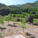 가음농장 이미지