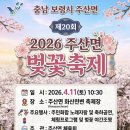 금암1리 노인회관 | 4월 충남보령 가볼만한곳: 2026 주산 벚꽃 축제부터 무창포 바다까지 완벽 코스
