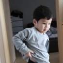 어린이집등원룩 페어리벨즈에서 준비한 봄신상 유아동복
