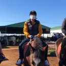 제주대지공인중개사사무소 이미지