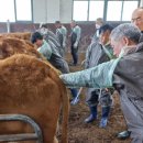 전북특별자치도 축산연구소 이미지