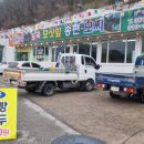 도곡모싯잎송편