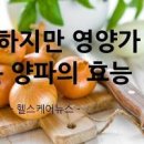 양파 효능 부작용 콜레스테롤 낮추는 양파 영양성분 이미지