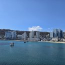 송도해수욕장 이미지