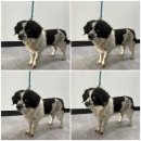 이편한용치과의원 이미지