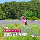 양평힐링여행 밀축제 세미원 두물머리 서울근교 당일치기 추천코스