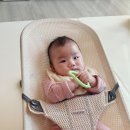 신호 | 베이비뵨 바운서 언제부터 언제까지, 졸업 신호, 당근 사용후기