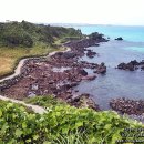 오후애월 이미지