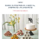단돈 5만원에 백일상 끝! 떡보의하루 백일상 실속세트 후기(feat.백일 답례떡)