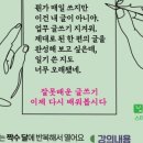 문화공동체히응 이미지