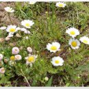 인지농장 이미지