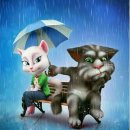 달달한 고양이 이미지