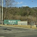 리아 | [경기 용인 해솔리아CC] 야간 3인라운딩 솔코스-리아코스 후기