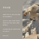 요가1.(오전반) 이미지