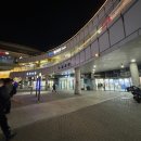 인이수산 | 대하 철 맞이 가락시장 방문 청해수산 및 초장집 내돈내산 후기
