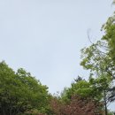 당곡 운동장 이미지