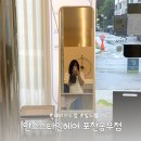 포천 미용실추천 빌드펌 후기 (가격,예약,디자이너) &#39;안스스타일 헤어 포천송우점&#39;