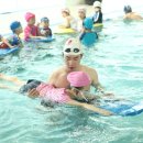 캡틴태권도 이미지