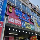 홍성/보령 남당항 &#39;광수 회 수산&#39; 내돈내산 쭈꾸미가격!
