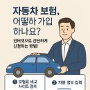 휴대폰다모아 | 🚘 자동차 보험, 인터넷으로 직접 가입해본 리얼 후기와 팁
