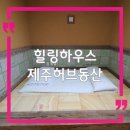 제주더힐링하우스 | 제주 게스트하우스 제주허브동산 힐링하우스