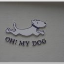 오마이독(oh my dog) 네이버블로그