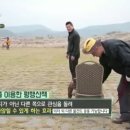 꼬리 흔드는 강아지 이미지