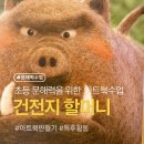 문해력 쑥쑥 그림책 쏙쏙 | 초등 문해력을 위한 아트북수업, 건전지 할머니 - 개물림사고 안전수칙 바로알기