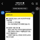 주식회사 부산여행특공대