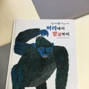 머리에서 발끝까지
