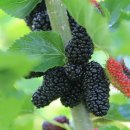 번성세탁 이미지