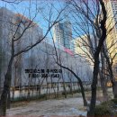 일원초등학교 이미지