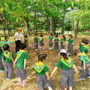 🌳탄소중립 유아 숲 사랑단과 함께한 숲놀이~!🌳 이미지