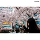 예술회관사거리 이미지