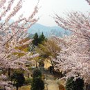 우룡산공원 이미지