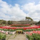 메이즈랜드 이미지