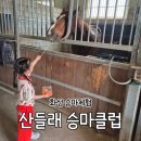 승마 체험과 말 먹이주기 가능한 [산들래 승마카페] 방문후기