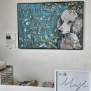 Sara pet (사라펫) | [양평 카페] 남한강뷰 대형 갤러리 카페 '피스타치 바이 카포레' (반려견 동반 가능)