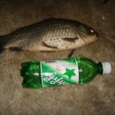 중흥 낚시터 이미지