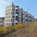 신현동-13 이미지