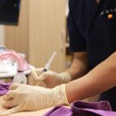 삼한의원 이미지