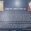 용인대학교 박물관 이미지